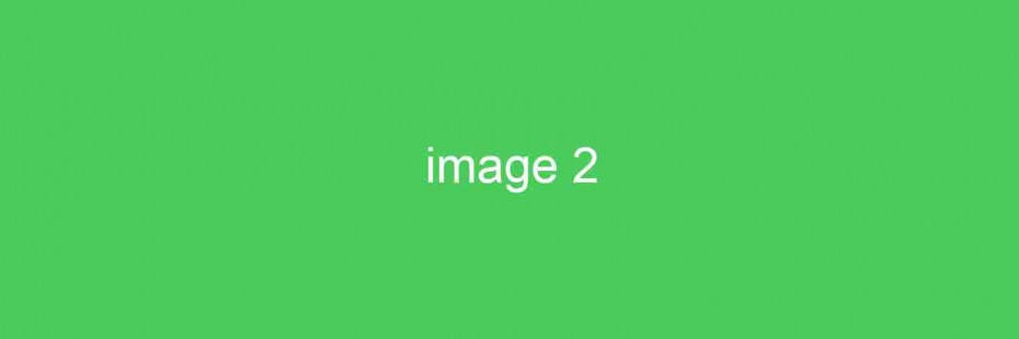 image-2